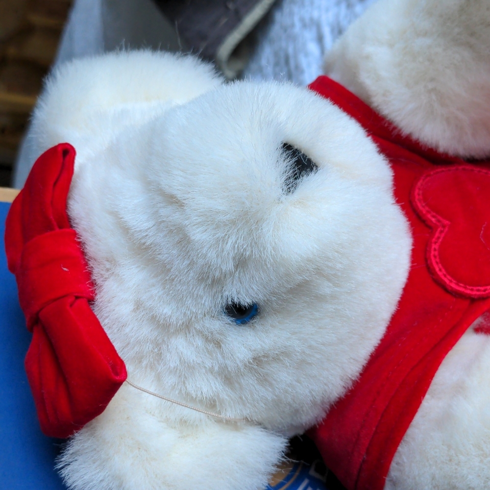 Vermont Teddy Bear